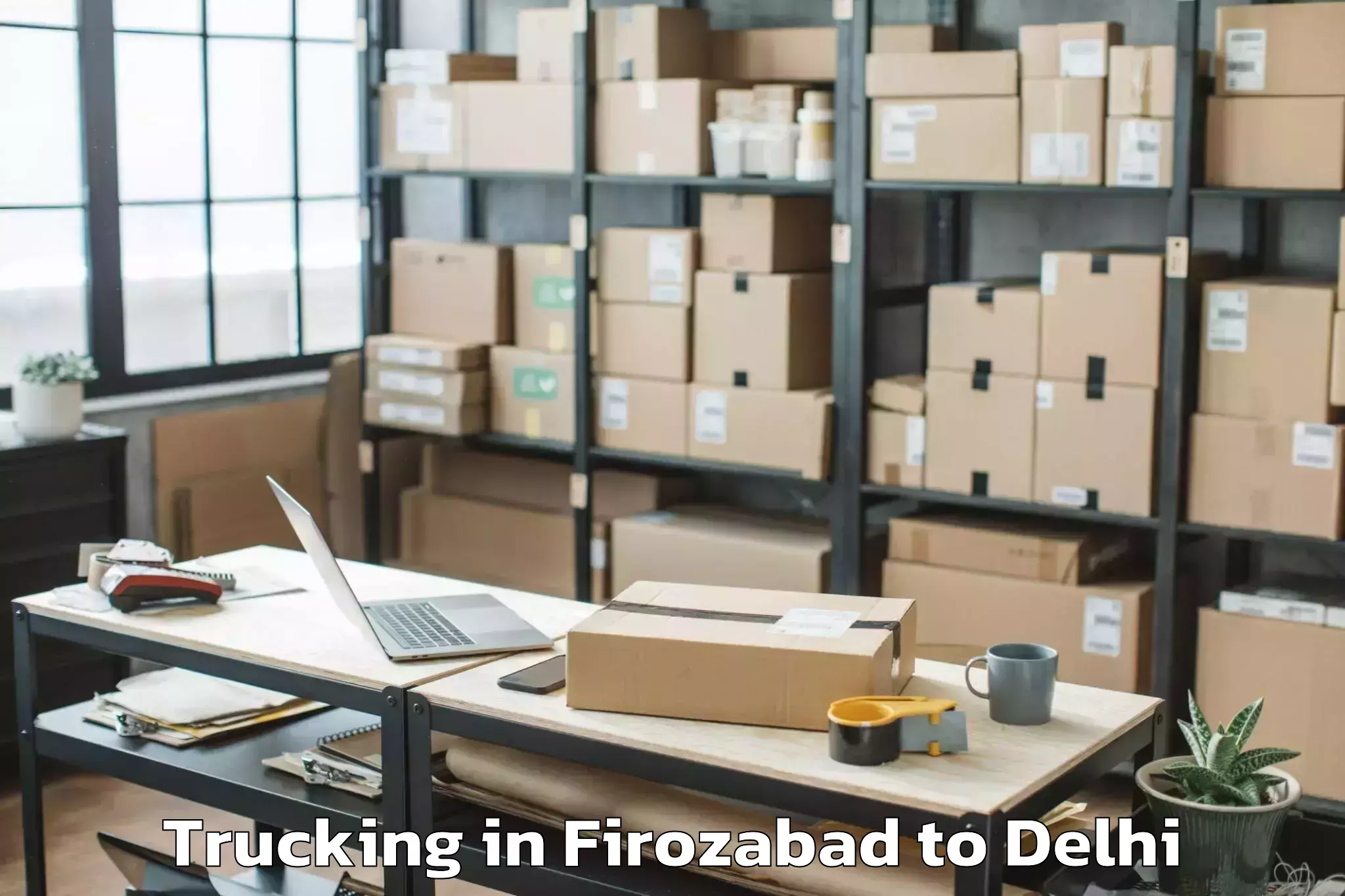 Hassle-Free Firozabad to Karol Bagh Trucking